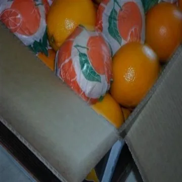 
ORANGE FOR SALE 