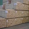 Edged Pine KD 16-18% - Timber pine beams (bar) Low Grade For Construction