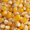 maize yellow-animal feed purpose