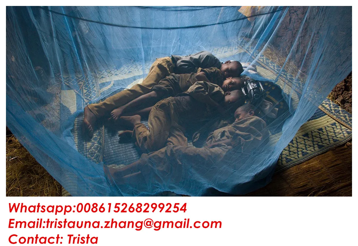 Nigeria Long Lasting Impregnated Mosquito Net (llin) 6 X 6 Ft For Large