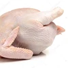 /product-detail/brazil-wholesale-frozen-halal-chicken-frozen-whole-chicken-brazil-origin-50045274821.html