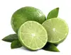 FRESH LIME/ FRESH LEMON FROM VIETNAM - BEST QUALITY FOR EXPORT (Mr Jack 0084902948089)