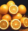 Excellent quality sweet juicy tasty seedless navel orange .. Different sizes ..