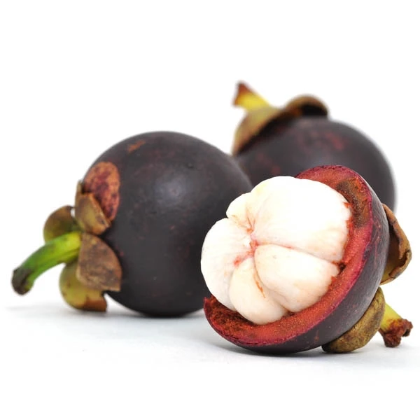 
VIETNAM FRESH MANGOSTEEN WHOLESALE 