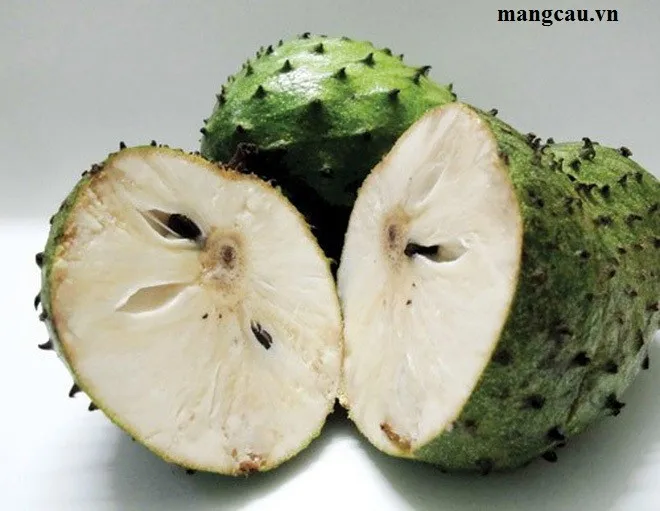 Hot Sale Cheapest Price Graviola Soursop Fruit 2021/ Whatsapp +84 845