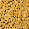 High Quality Split Peas for sale
