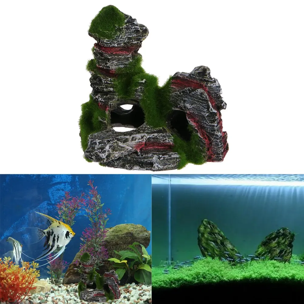 cheap mountain aquarium find