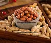 red skin groundnut kernel / Bold / Java Peanuts 2017 crop / at comparative Price