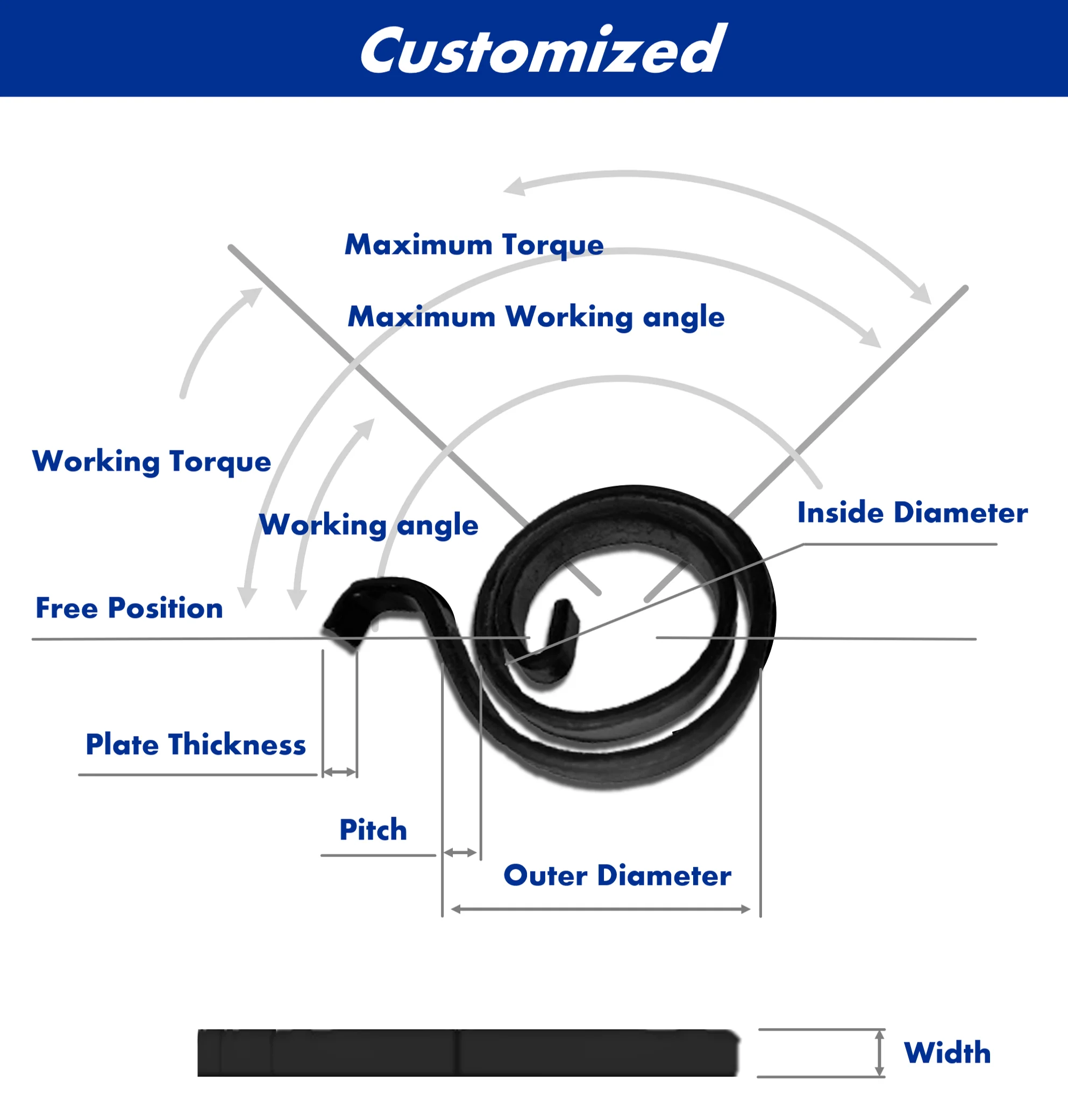 Custom Constant Force Measure Tape Torsion Volute Motor Brush Clock Flat Coil Spiral Power Steel
