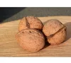 factory supply high quality Natural black walnut extract with low price, walnut