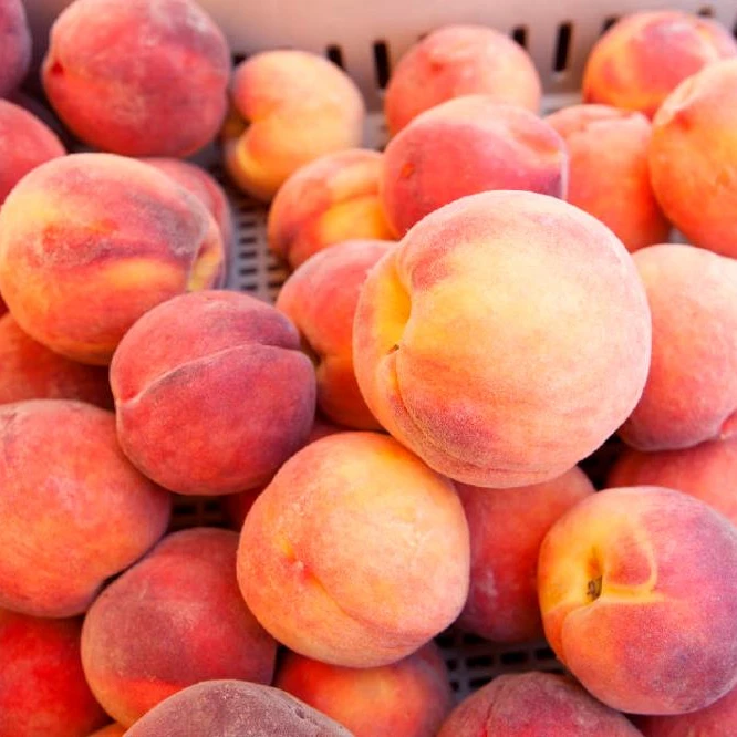 Peaches Wholesale Fresh Organic Fruit Buy Cantaloupe Melon Seed,Sweet