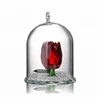 Indian Manufacturer Glass Bell Jar Dome Lowest Price