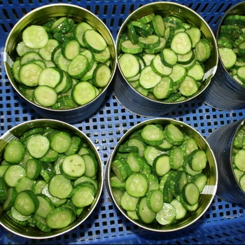 Vietnamese High Quality Good Taste Of Crunchy Pickled Cucumber Slices Long Cut Cubes Buy Pickled Cucumber Vietnamese Pickled Cucumber Pickled Cucumber Slices Cut Product On Alibaba Com