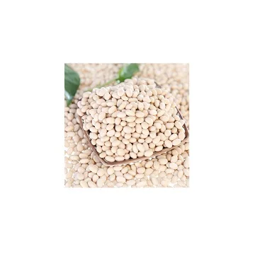 
SGS Certified white dried speckled butter beans for sale 