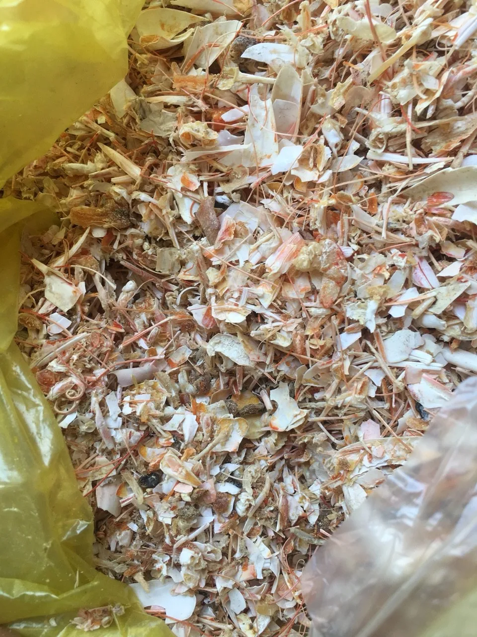 Shrimp Shell Powder / Dried Shrimp Shell For Feed Buy Dried Shrimp