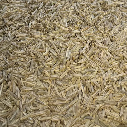 caraway seeds (2).jpg