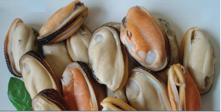 
New Zealand Green Lipped Mussel Powder 