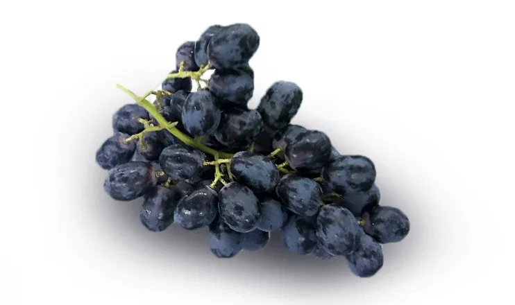 royal black seedless 500 g punnets grapes