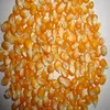 Human Consumption Delicious Yellow Maize Corn