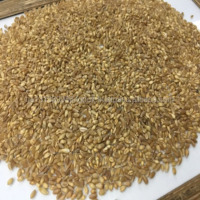 Top Grade Wheat Grain Bulk For Sale Buy Buy Wheat Grain Bags,Order