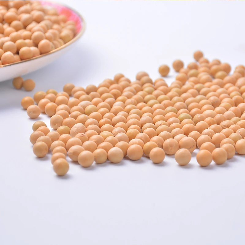 
Canada Wholesale Dried Yellow Soybean Soya Seeds 