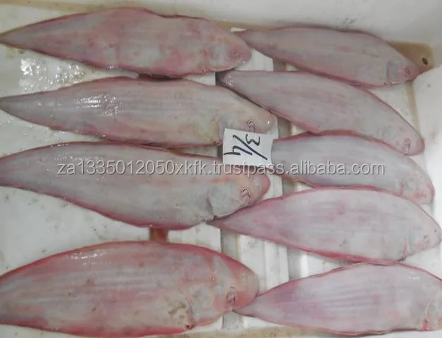 Tongue-Sole.jpg