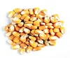 High Quality Natural Yellow Dried Corn made in Philippines