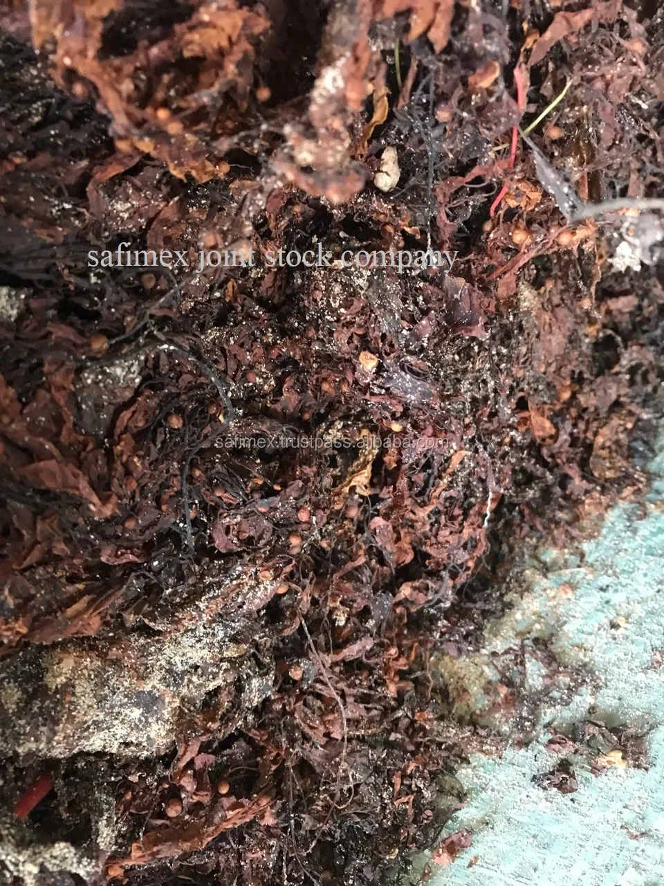  sargassum seaweed powder specification - use: fish