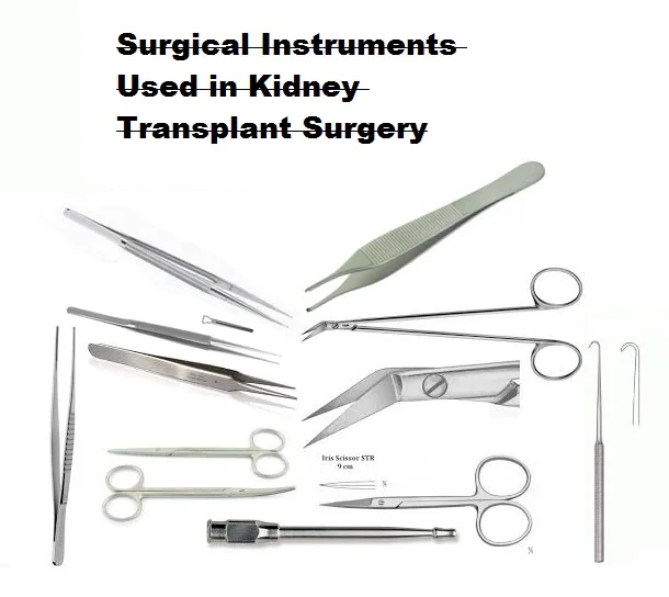 Instrumentos Quirúrgicos Usados En Cirugía De Trasplante De Riñón Buy