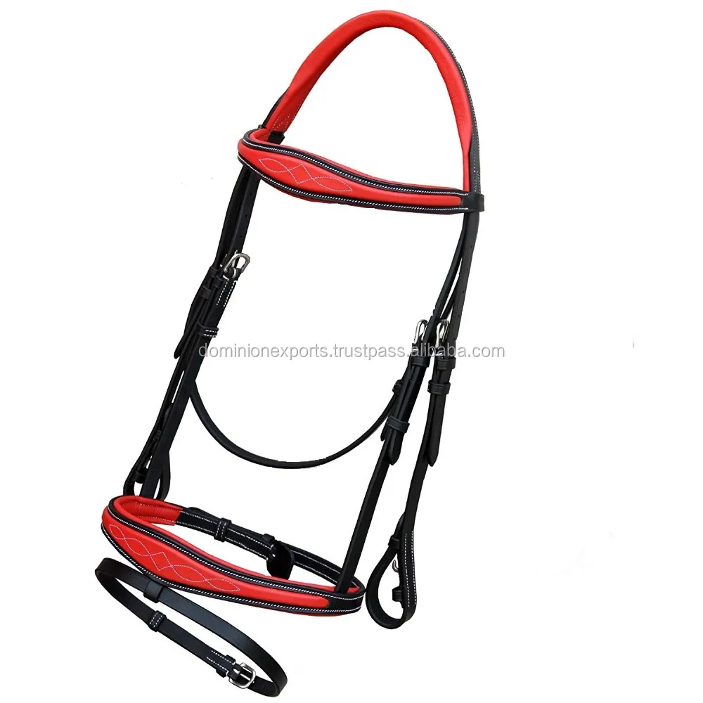 Echtes Leder English Bridle Equestrian Show Springen Gepolstertes