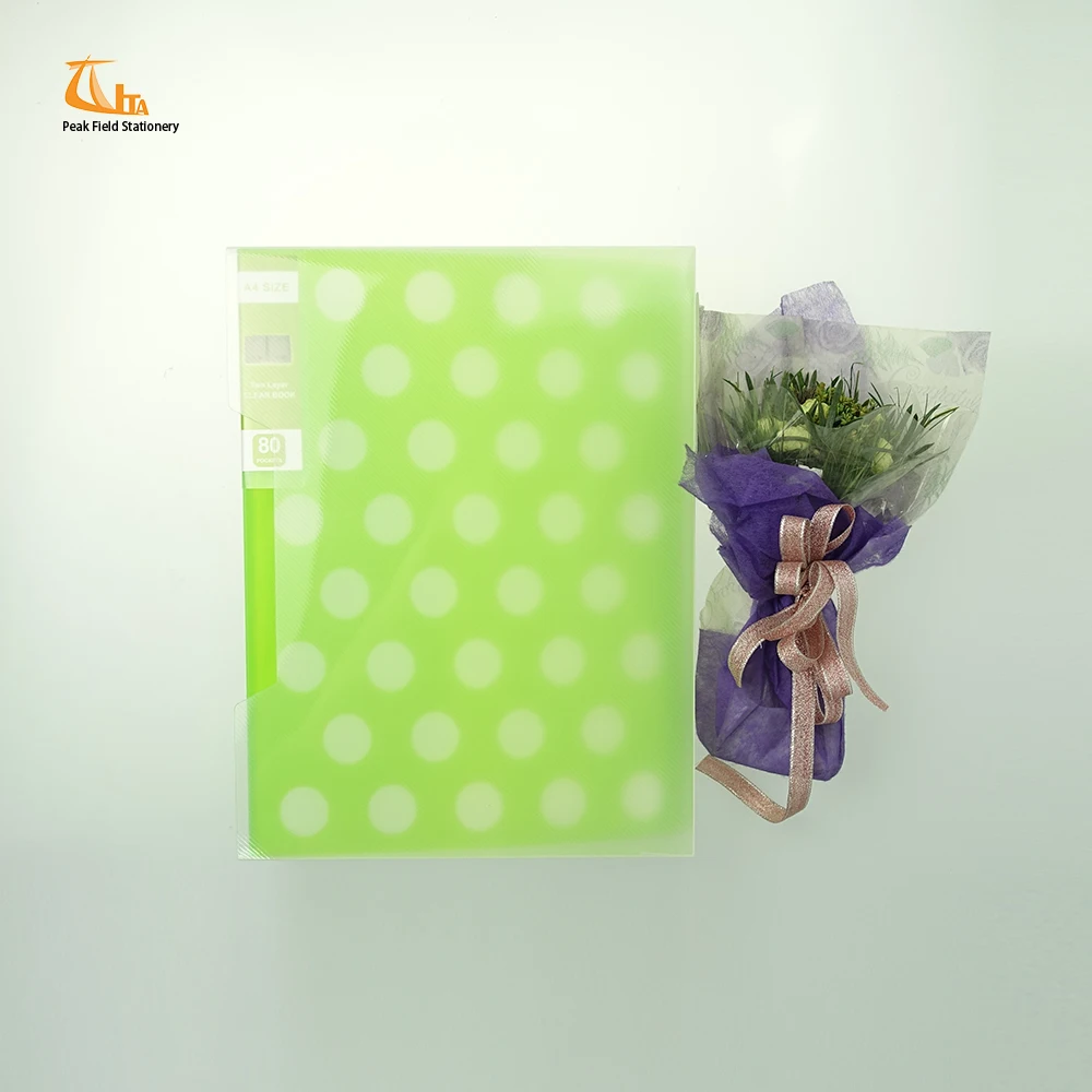 Japanese Stylish Pattern A2 Plastic File Folder Hanging File Folder