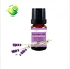 Highest quality Bulgaria Lavender aromatherapy essential oil 100% pure lavender oil bulk