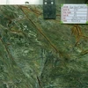 RAIN FOREST GREEN