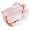 Frozen Chicken Gizzard /Liver /Heads /chicken wings /chicken leg quarters For Sale