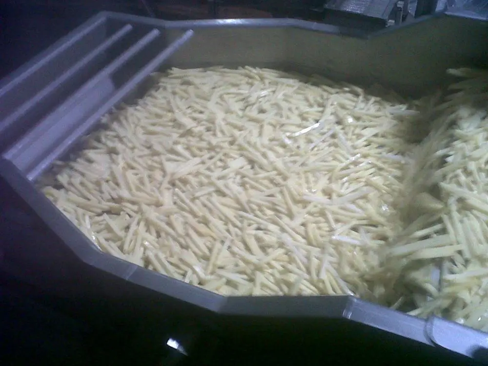 
frozen french fries 