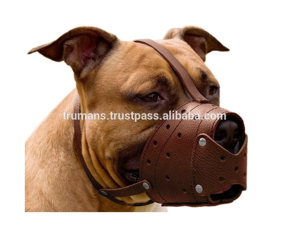 boxer dog muzzle