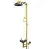 ECB 10022SS ANSI Z358.1 AS 4775 Combination Unit of Drench Shower & Eyewash with Stainless Steel Bowl with Foot Pedal