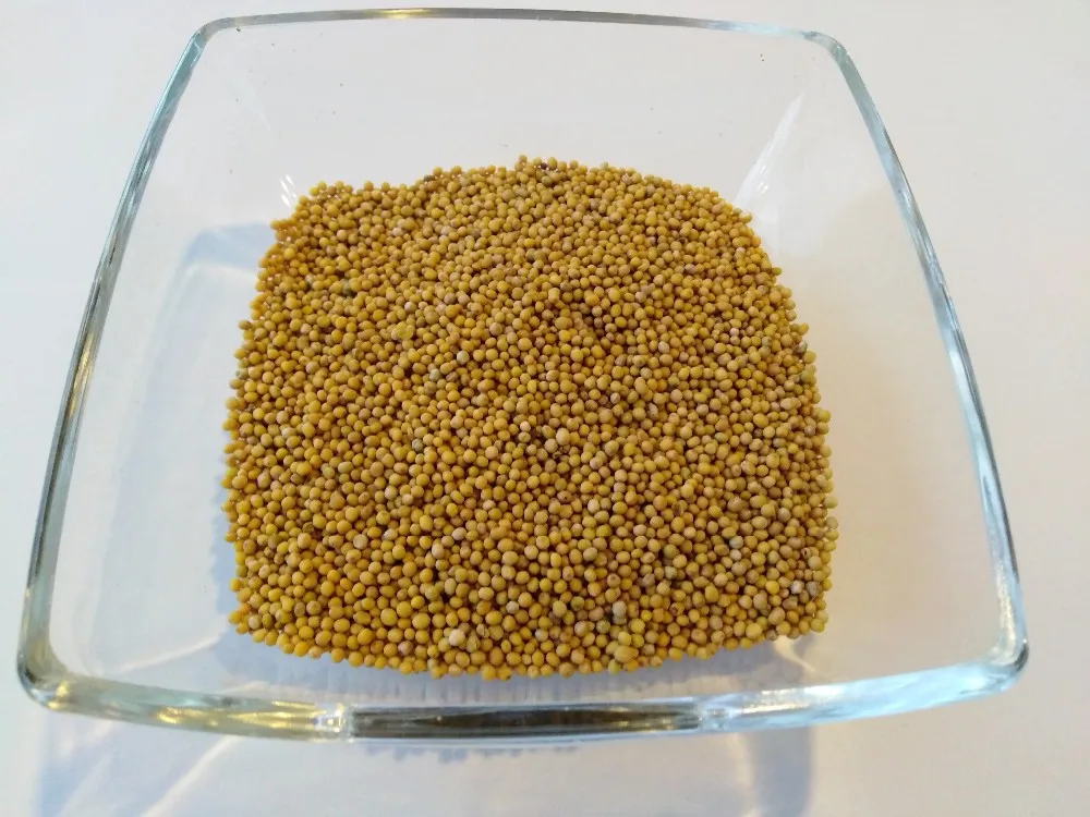 white mustard seed