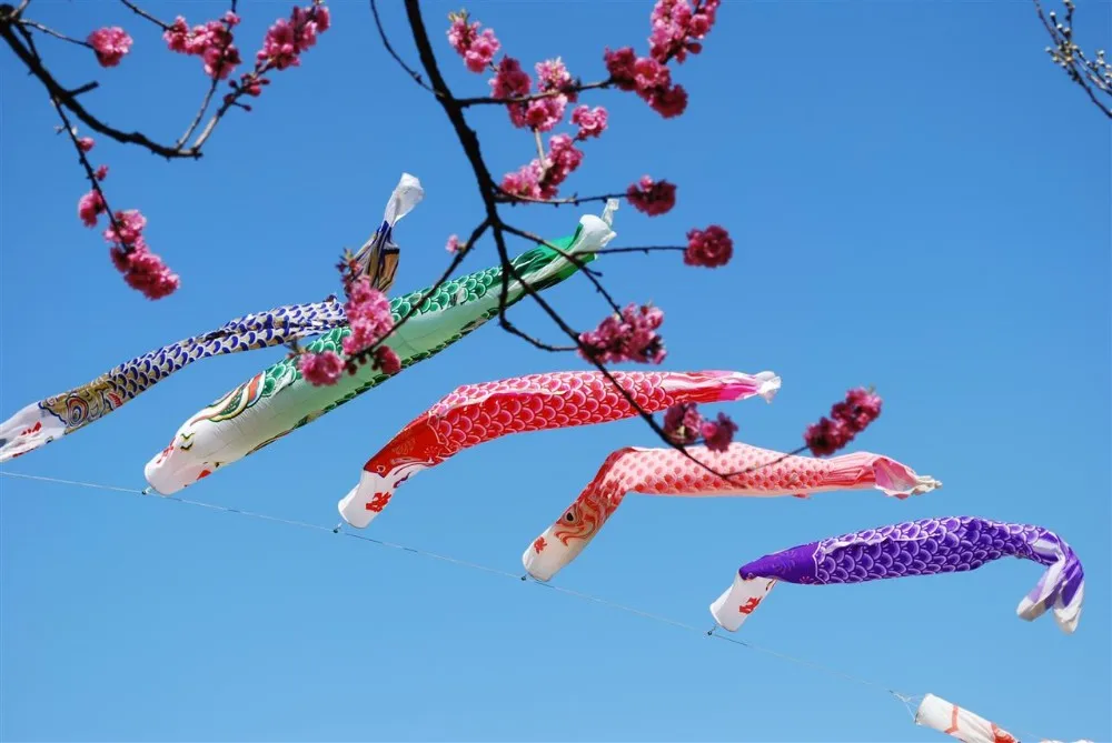 all industries  gifts & crafts  flags, banners & accessories