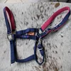 /product-detail/horse-noseband-tack-bronc-leather-nylon-halter-tiedown-lead-rope-50046005449.html
