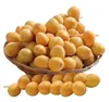 medium-sized, thin-skinned fruit with soft, tender flesh and a syrupy flavor (( Brahi Dates from Egypt ))