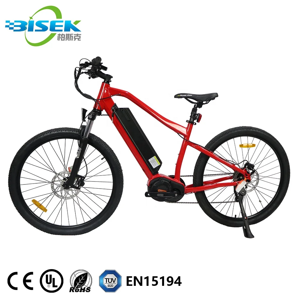 high powered electric bike