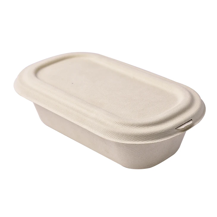 Eco friendly food packaging compostable sugarcane bagasse bamboo pulp disposable salad box eco biodegradable food containers
