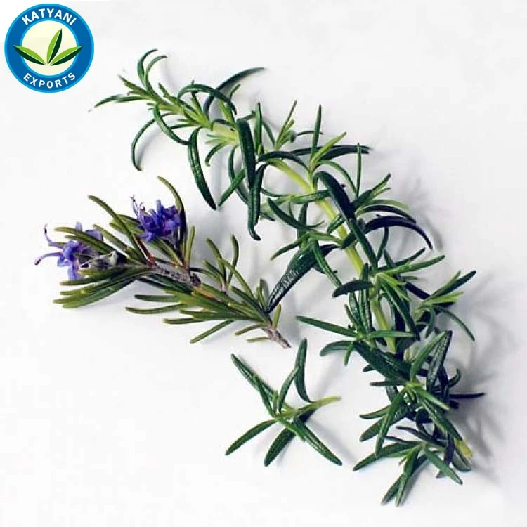 Featured image of post How to Make Rosemary Price Per Kg