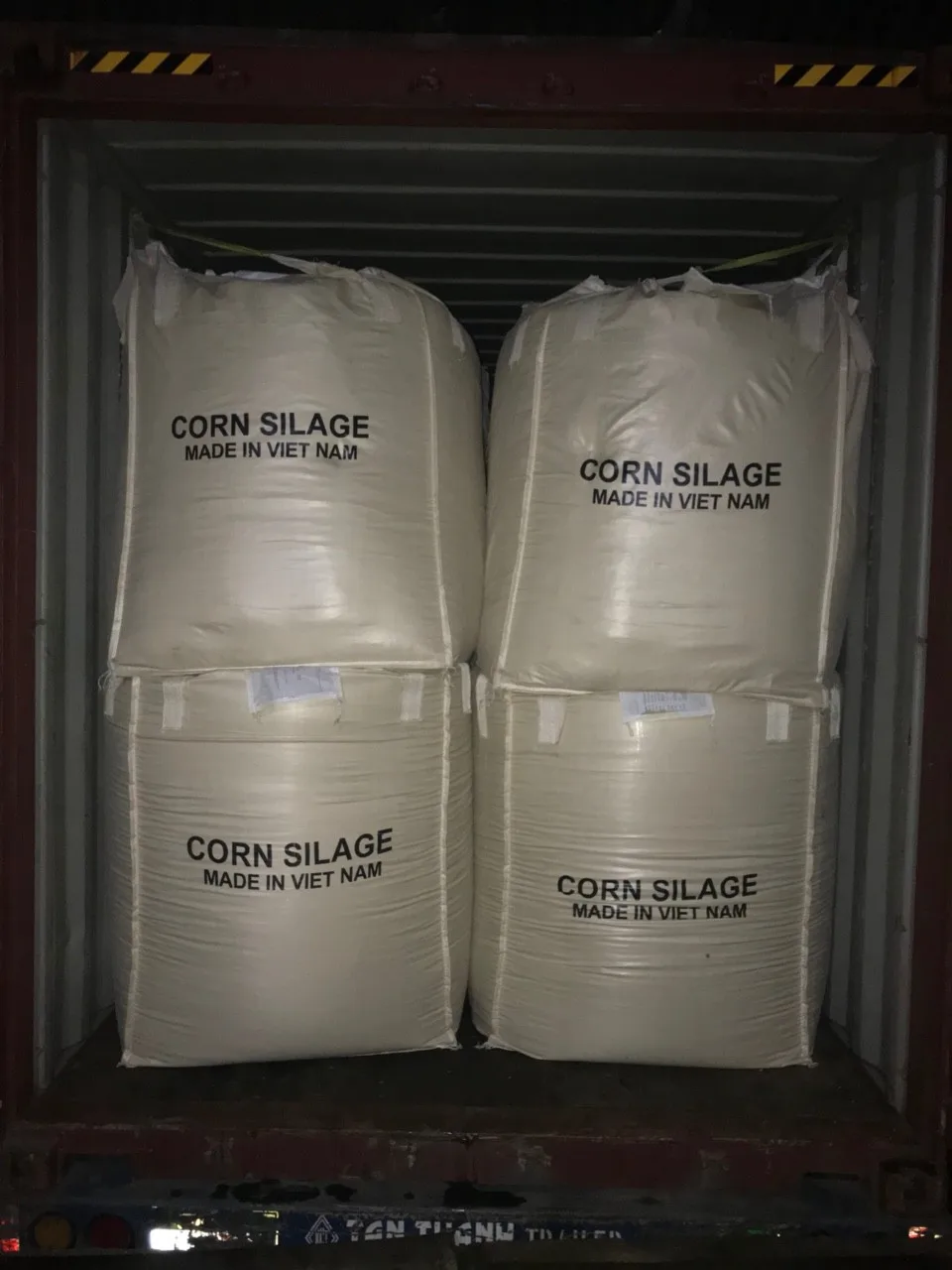 Dried Corn silage Dried Corn silage