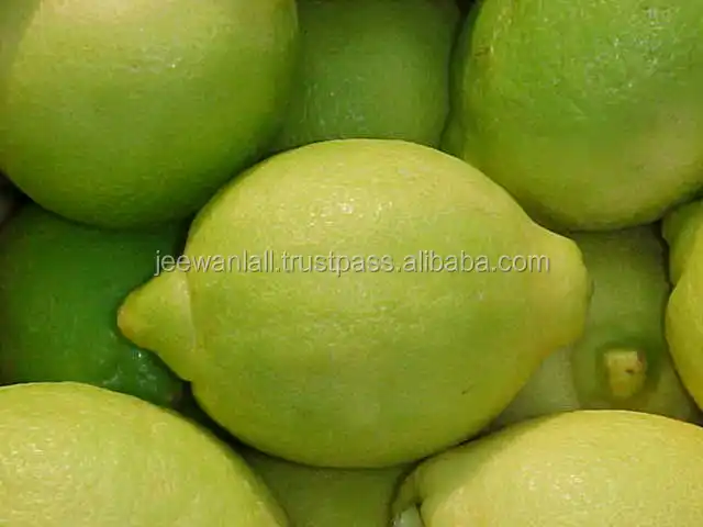 
hot selling high quality fresh yellow lemon for sale from South Africa 