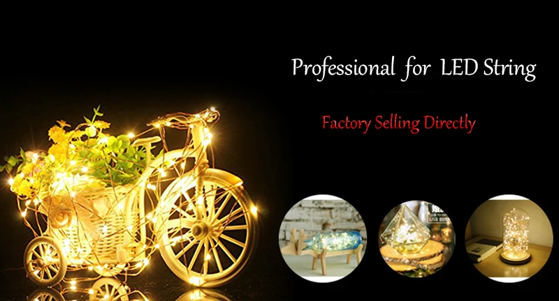 copper string light 3AA.jpg