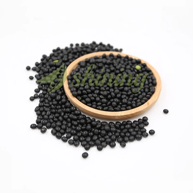wholesale price specification bulk green kernel black soy bean