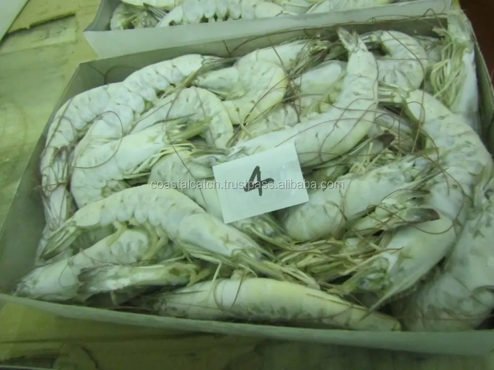 
VANNAMEI SHRIMPS HEAD ON SHELL ON FARM FRESH 