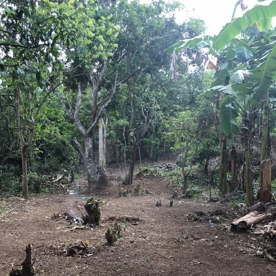 
Own or Lease Cool Climate Land in Cavite Philippines near Tagaytay 